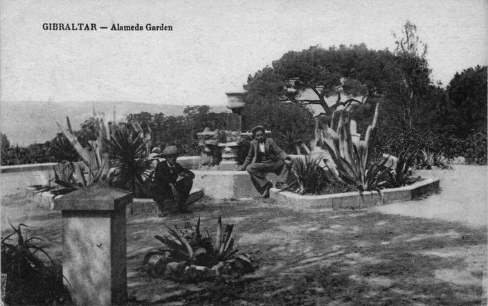 Старинная открытка: сады Аламеса (до 1929)